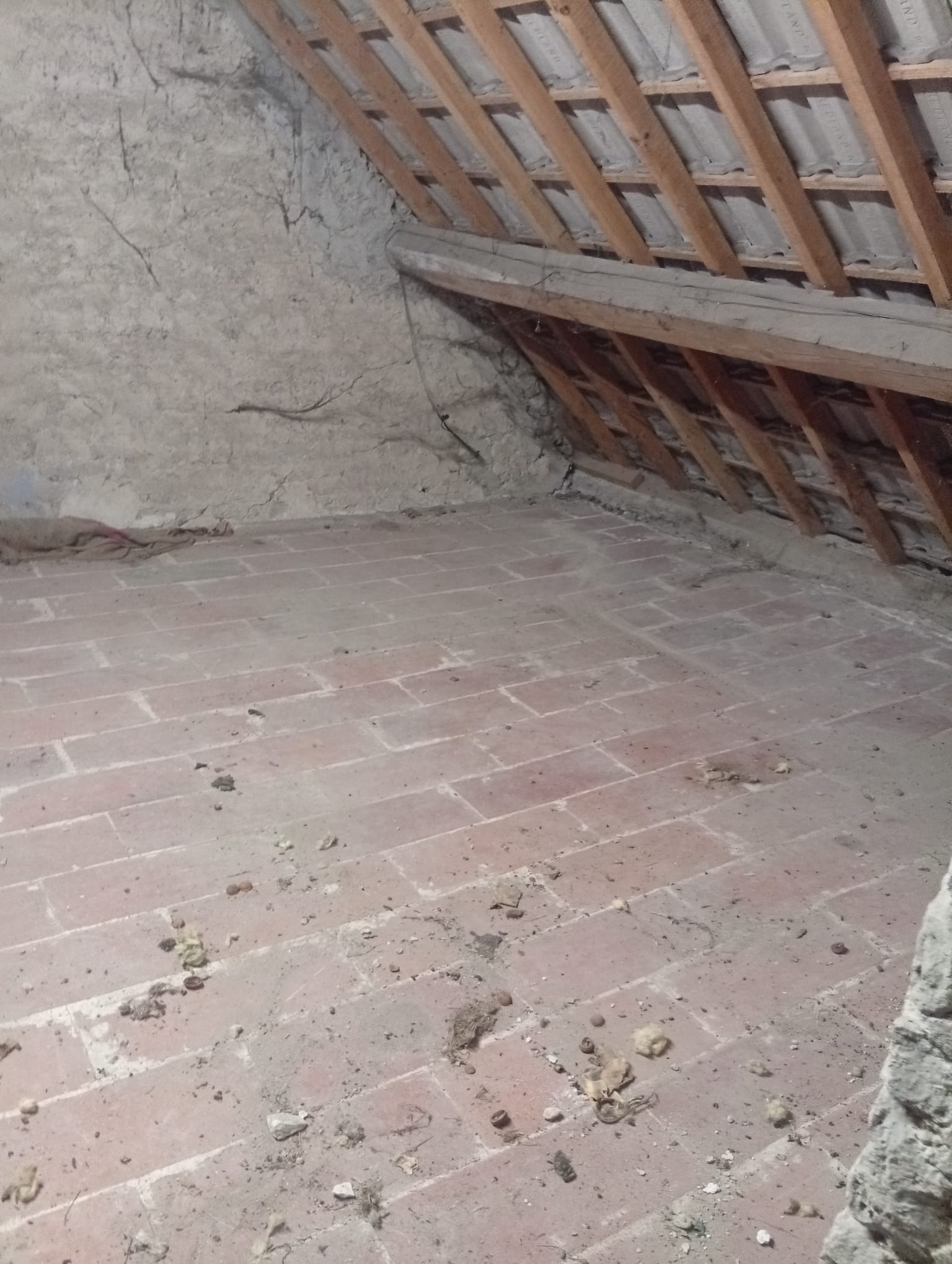 téléchargement (18)